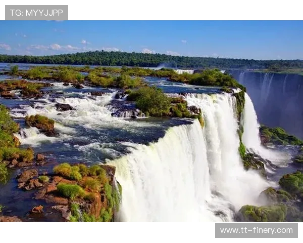 阿根廷世界杯决赛冠军阵容全景解析与传奇之路回顾荣耀历程深度剖析